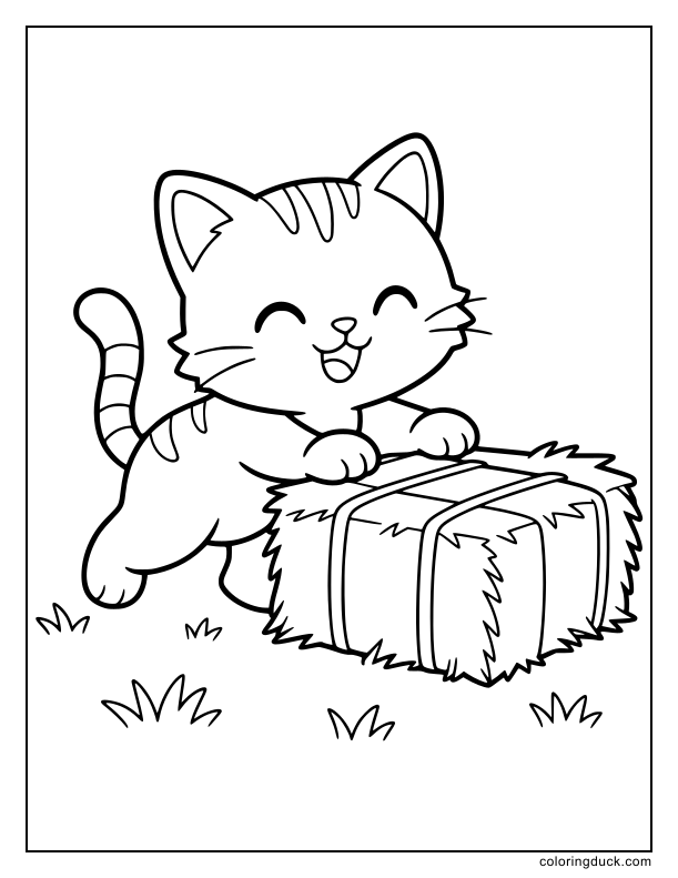 Playful kitten pushing a small rectangular bundle of hay across the grass.