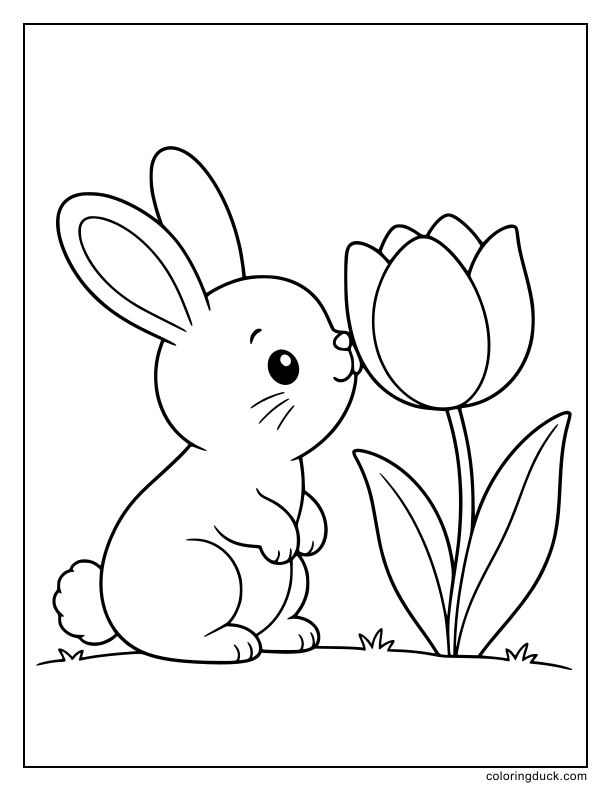 Fluffy bunny sniffing a tall blooming tulip in an open meadow.