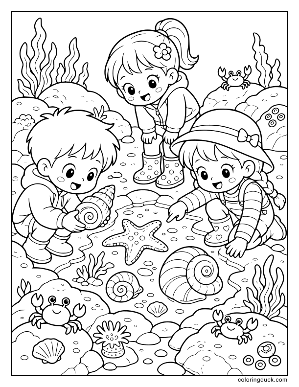 Curious children examining shiny spiral shells and starfish found near rocky ocean tide pools.