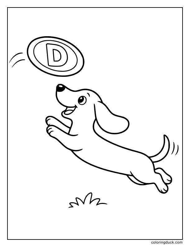 Long silly dachshund dog reaching up for a flying frisbee marked with a D.