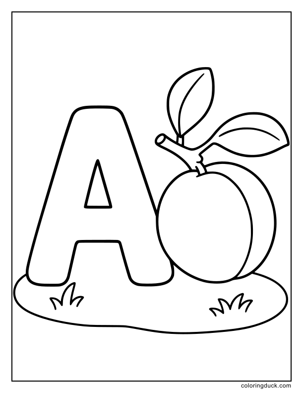 Plump round apricot hanging from a small twig next to letter A.