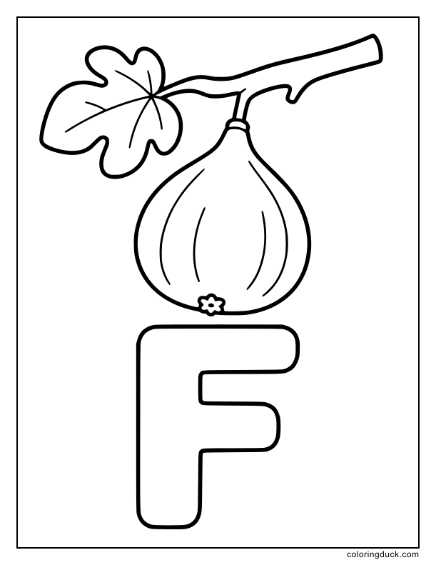 Plump fig fruit dangling from a branch over a huge letter F.