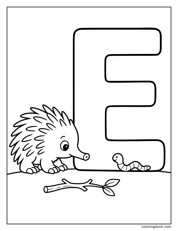 Down on the forest floor, a little echidna watches an earthworm crawl across a giant letter E.