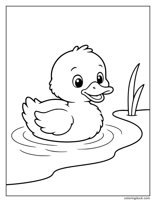 Fluffy baby duckling swimming near the pond edge.