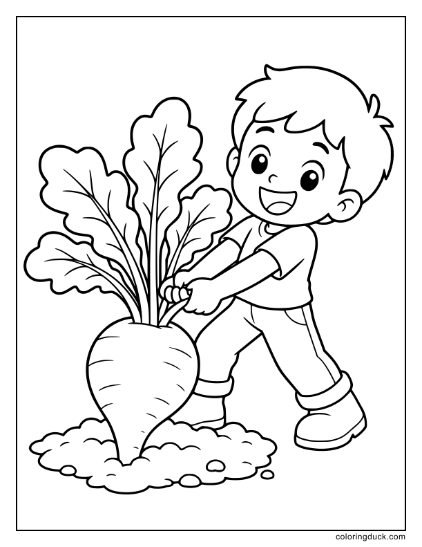 Grinning boy pulling a leafy radish out of the soil.