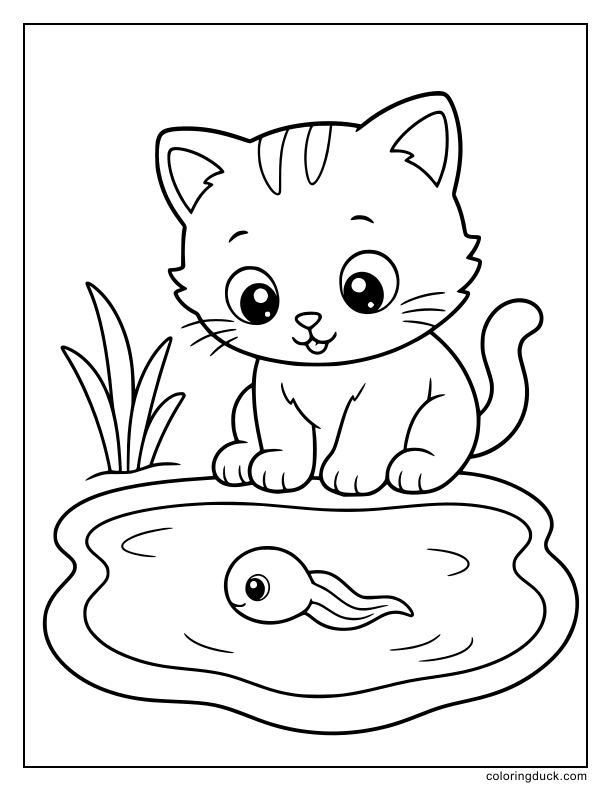 Sitting by the water edge, a kitten watches a tiny tadpole swimming.